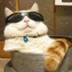 Meet your Posher, Sam